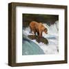 Alaska Brown Bear Fishing-null-Framed Art Print