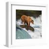 Alaska Brown Bear Fishing-null-Framed Art Print