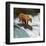 Alaska Brown Bear Fishing-null-Framed Art Print