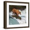 Alaska Brown Bear Fishing-null-Framed Art Print