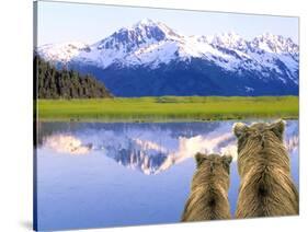 Alaska Brown Bears, Alaska.-Stuart Westmorland-Stretched Canvas