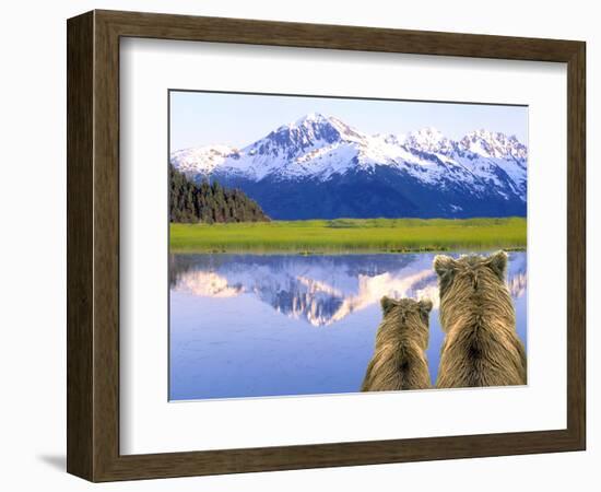 Alaska Brown Bears, Alaska.-Stuart Westmorland-Framed Photographic Print