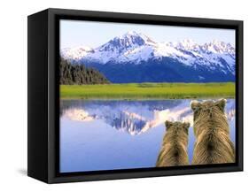 Alaska Brown Bears, Alaska.-Stuart Westmorland-Framed Stretched Canvas