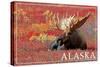 Alaska - Bull Moose-Lantern Press-Stretched Canvas