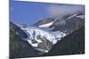 Alaska, Chugach National Forest. Middle Glacier in the Portage Valley-Jaynes Gallery-Mounted Photographic Print