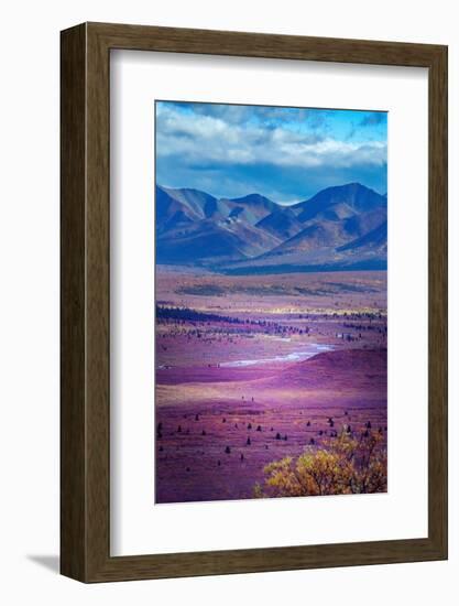 Alaska, Denali National Park. Autumn landscape of valley and mountains.-Janet Muir-Framed Photographic Print