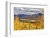 Alaska, Denali National Park. Golden landscape of valley and mountains.-Janet Muir-Framed Photographic Print