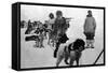 Alaska - Dog Sled Team and Men in Parkas-Lantern Press-Framed Stretched Canvas