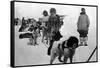 Alaska - Dog Sled Team and Men in Parkas-Lantern Press-Framed Stretched Canvas