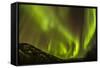 Alaska, Fairbanks. Northern Lights Patterns and Colors-Jaynes Gallery-Framed Stretched Canvas