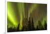 Alaska, Fairbanks. Northern Lights Patterns and Colors-Jaynes Gallery-Framed Photographic Print