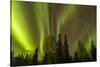 Alaska, Fairbanks. Northern Lights Patterns and Colors-Jaynes Gallery-Stretched Canvas