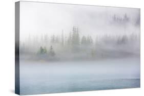 Alaska Fog II-Kathy Mahan-Stretched Canvas