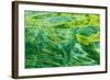 Alaska, Glacier Bay National Park. Abstract of Water in Dundas Bay-Jaynes Gallery-Framed Photographic Print