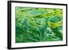 Alaska, Glacier Bay National Park. Abstract of Water in Dundas Bay-Jaynes Gallery-Framed Photographic Print