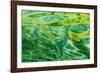 Alaska, Glacier Bay National Park. Abstract of Water in Dundas Bay-Jaynes Gallery-Framed Photographic Print