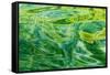 Alaska, Glacier Bay National Park. Abstract of Water in Dundas Bay-Jaynes Gallery-Framed Stretched Canvas