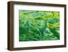 Alaska, Glacier Bay National Park. Abstract of Water in Dundas Bay-Jaynes Gallery-Framed Photographic Print