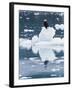 Alaska, Glacier Bay National Park. Bald Eagle on Iceberg-Jaynes Gallery-Framed Photographic Print