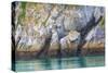Alaska, Glacier Bay National Park. Cliff Reflects in Seawater-Jaynes Gallery-Stretched Canvas