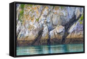 Alaska, Glacier Bay National Park. Cliff Reflects in Seawater-Jaynes Gallery-Framed Stretched Canvas