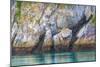 Alaska, Glacier Bay National Park. Cliff Reflects in Seawater-Jaynes Gallery-Mounted Photographic Print