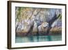 Alaska, Glacier Bay National Park. Cliff Reflects in Seawater-Jaynes Gallery-Framed Photographic Print