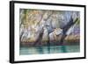 Alaska, Glacier Bay National Park. Cliff Reflects in Seawater-Jaynes Gallery-Framed Photographic Print