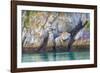 Alaska, Glacier Bay National Park. Cliff Reflects in Seawater-Jaynes Gallery-Framed Photographic Print