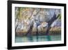 Alaska, Glacier Bay National Park. Cliff Reflects in Seawater-Jaynes Gallery-Framed Photographic Print