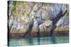 Alaska, Glacier Bay National Park. Cliff Reflects in Seawater-Jaynes Gallery-Stretched Canvas