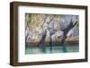 Alaska, Glacier Bay National Park. Cliff Reflects in Seawater-Jaynes Gallery-Framed Photographic Print