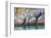 Alaska, Glacier Bay National Park. Cliff Reflects in Seawater-Jaynes Gallery-Framed Photographic Print