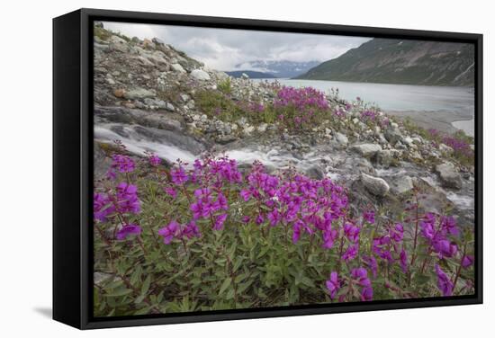 Alaska, Glacier Bay National Park. Small Stream Cascade-Jaynes Gallery-Framed Stretched Canvas
