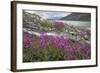 Alaska, Glacier Bay National Park. Small Stream Cascade-Jaynes Gallery-Framed Photographic Print