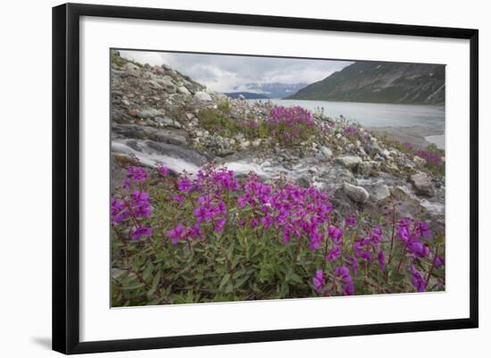 Alaska, Glacier Bay National Park. Small Stream Cascade-Jaynes Gallery-Framed Photographic Print