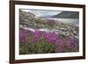 Alaska, Glacier Bay National Park. Small Stream Cascade-Jaynes Gallery-Framed Photographic Print