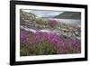 Alaska, Glacier Bay National Park. Small Stream Cascade-Jaynes Gallery-Framed Photographic Print