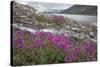 Alaska, Glacier Bay National Park. Small Stream Cascade-Jaynes Gallery-Stretched Canvas