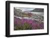 Alaska, Glacier Bay National Park. Small Stream Cascade-Jaynes Gallery-Framed Photographic Print