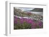 Alaska, Glacier Bay National Park. Small Stream Cascade-Jaynes Gallery-Framed Photographic Print