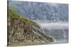 Alaska, Glacier Bay National Park. Waterfall Cascades Down Steep Cliff-Jaynes Gallery-Stretched Canvas