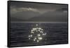 Alaska_Glacier_Bay-Art Wolfe-Framed Stretched Canvas