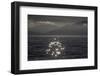 Alaska_Glacier_Bay-Art Wolfe-Framed Photographic Print