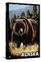 Alaska - Grizzly Bear - Scratchboard-Lantern Press-Stretched Canvas