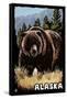 Alaska - Grizzly Bear - Scratchboard-Lantern Press-Framed Stretched Canvas