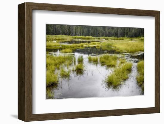 Alaska, Hatchers Pass-Savanah Stewart-Framed Photographic Print