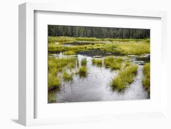 Alaska, Hatchers Pass-Savanah Stewart-Framed Photographic Print