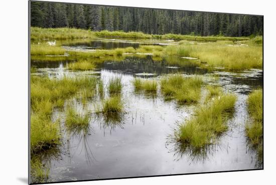 Alaska, Hatchers Pass-Savanah Stewart-Mounted Photographic Print