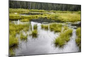 Alaska, Hatchers Pass-Savanah Stewart-Mounted Photographic Print